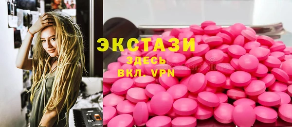 гашик Дмитров