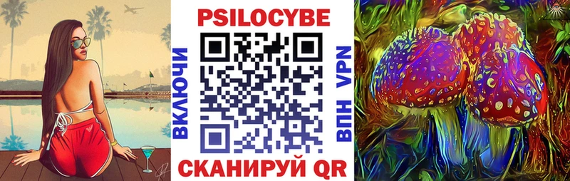 Галлюциногенные грибы Cubensis  Карачев 